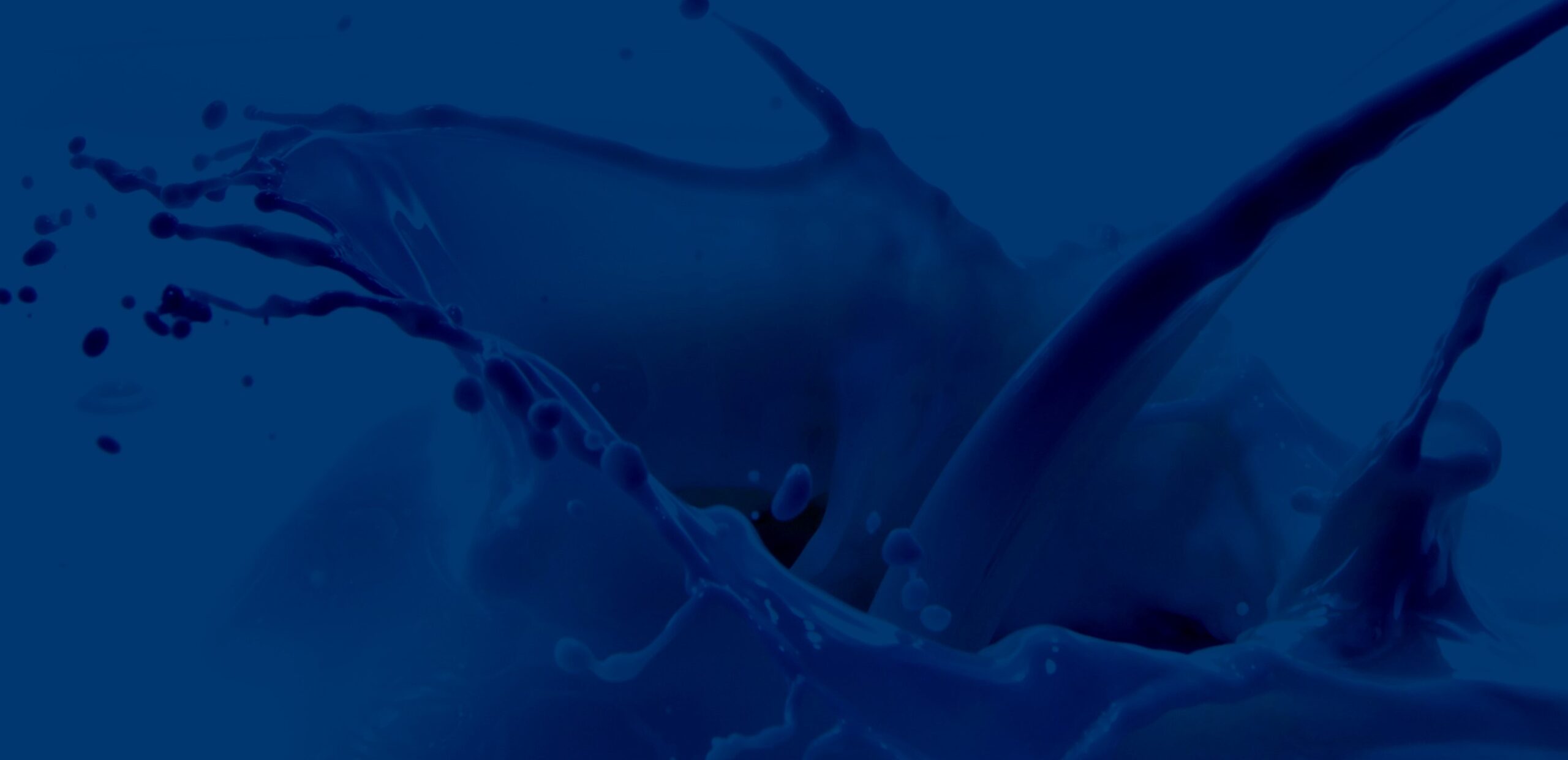 Fond de page partenaire